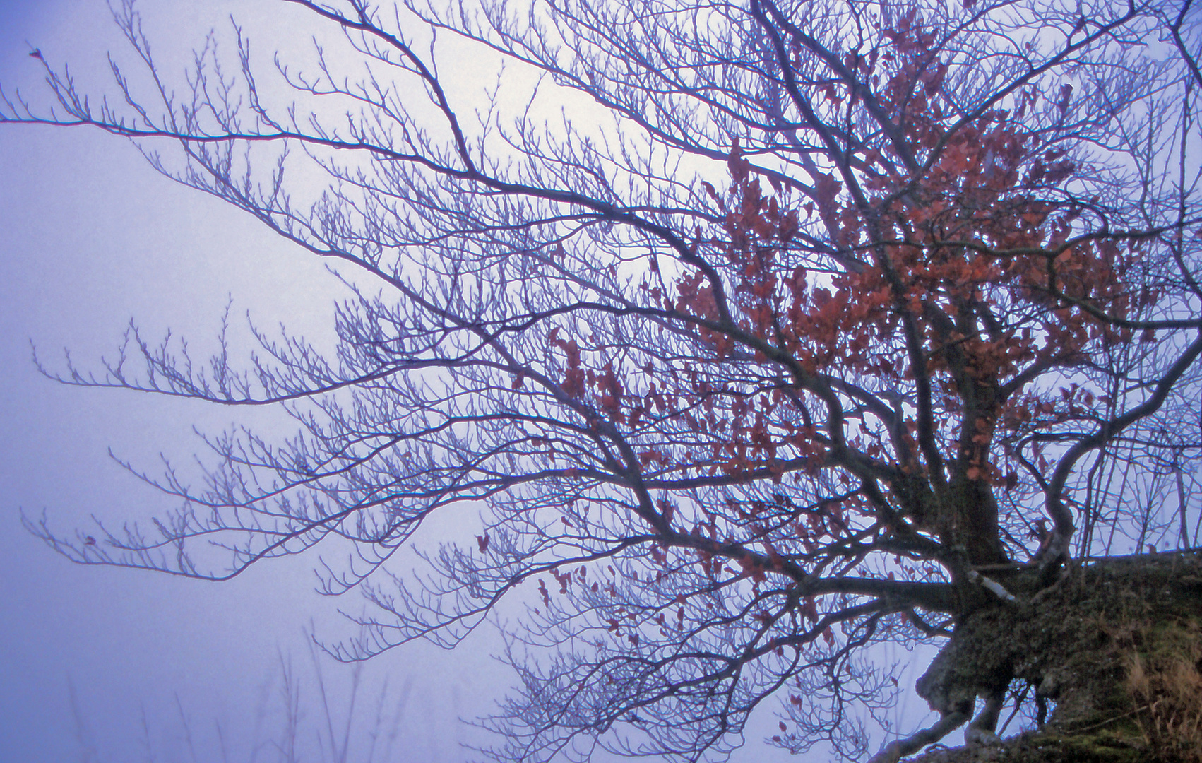 Nebel an der Ostsee