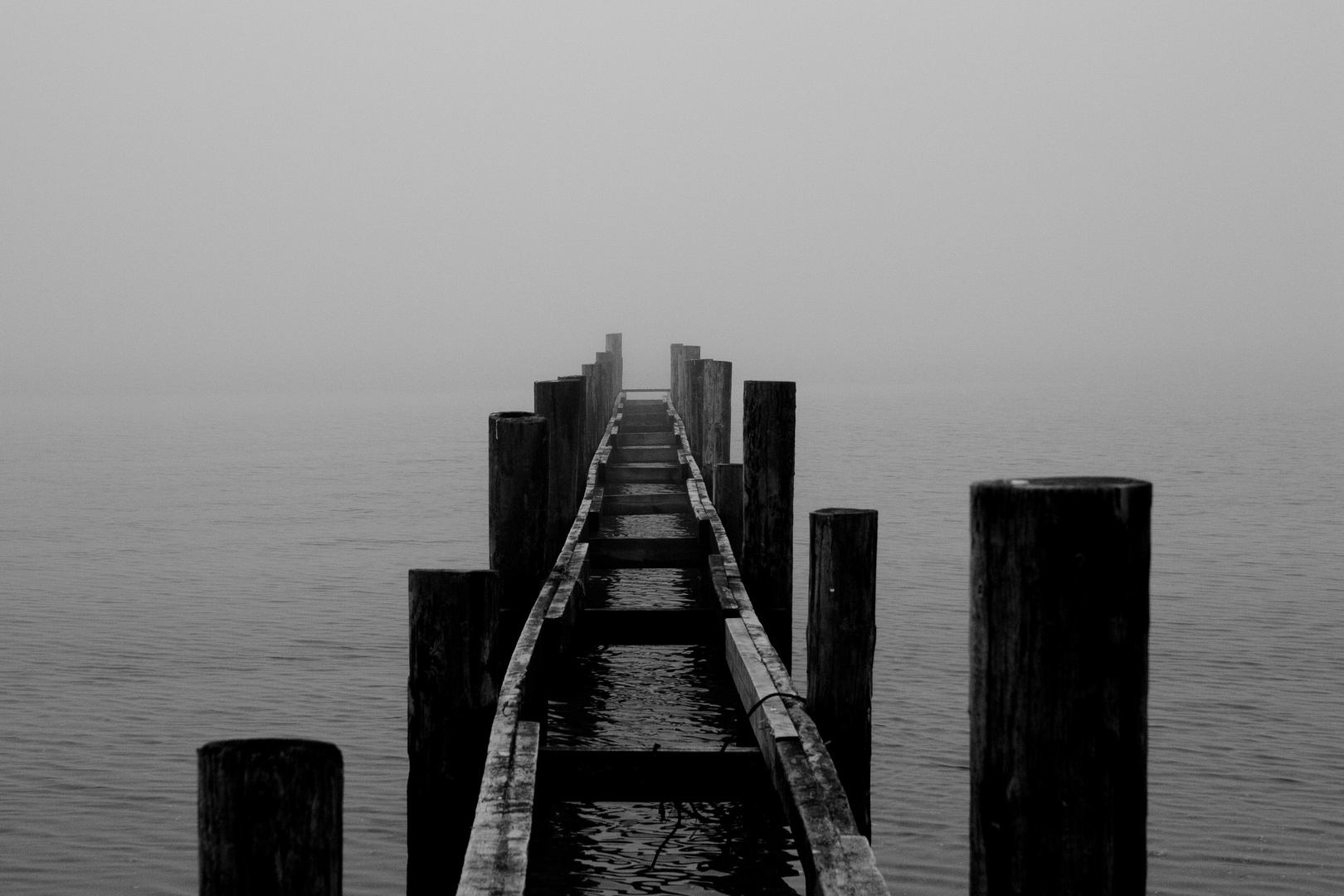 Nebel an der Ostsee