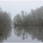 Nebel an der Regnitz