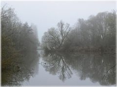 Nebel an der Regnitz