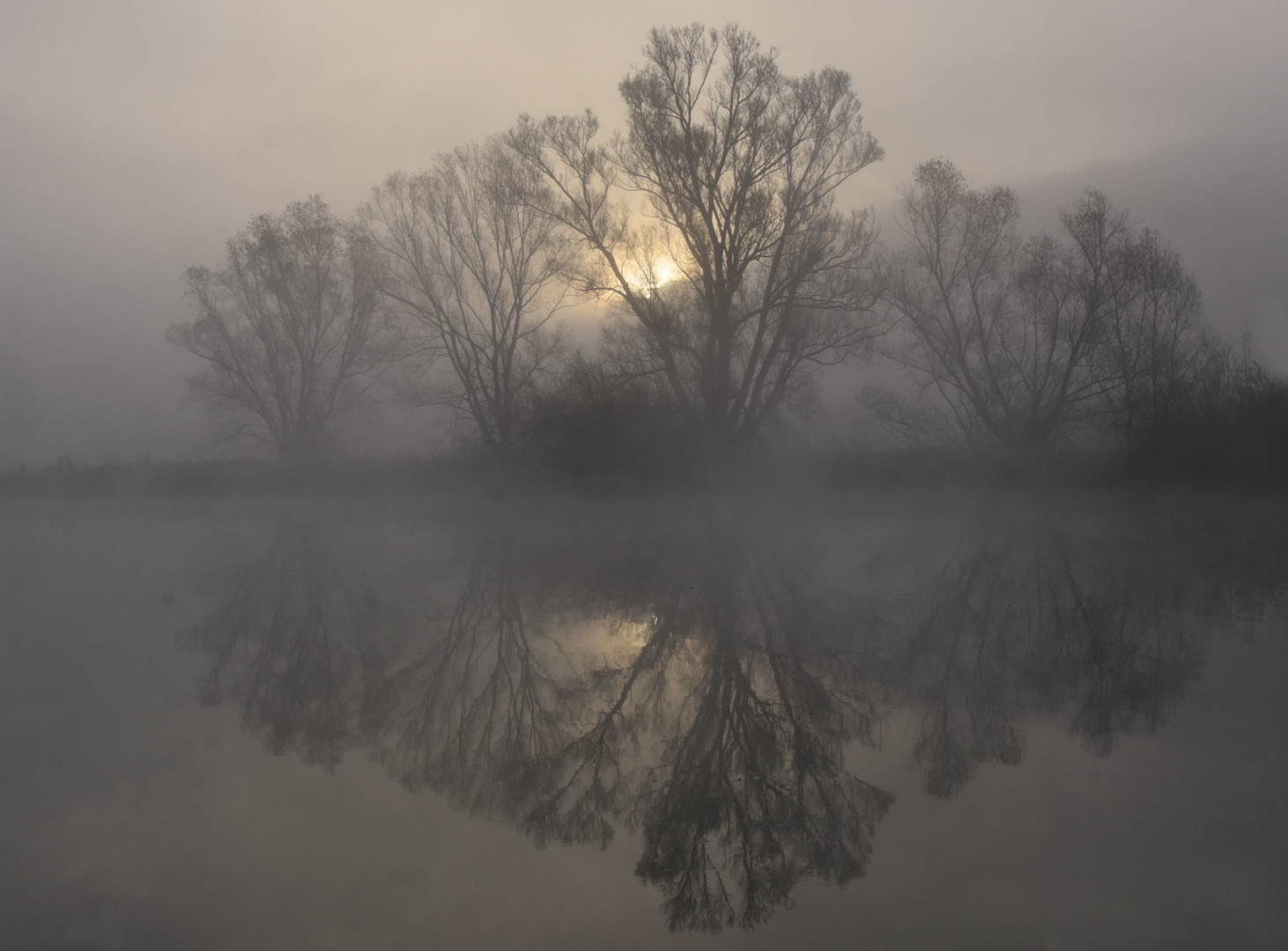  Nebel an der Ruhr.....