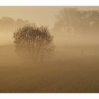 Nebel an der Ruhr