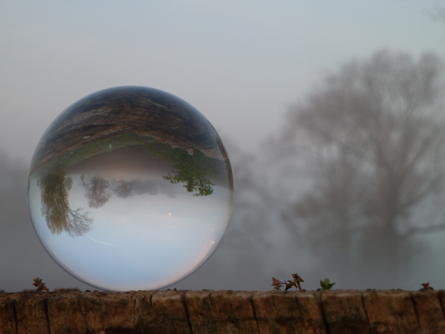 Nebel an der Ruhr, gekugelt