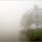 Nebel an der Ruhr II