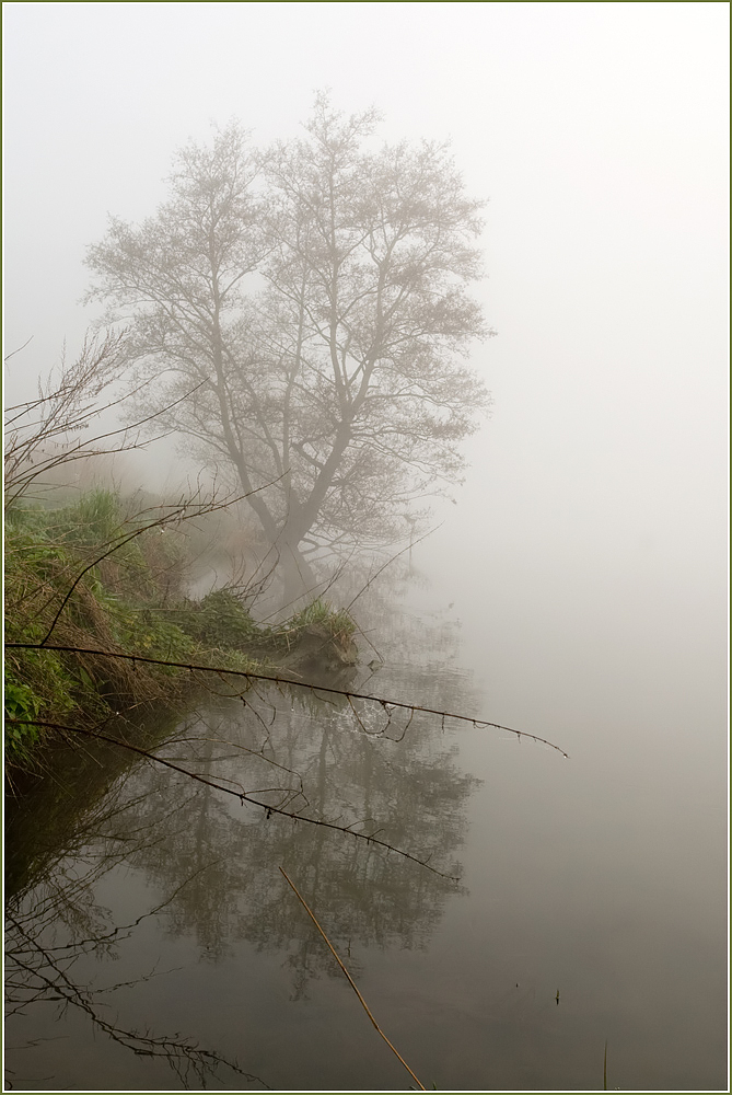 Nebel an der Ruhr III