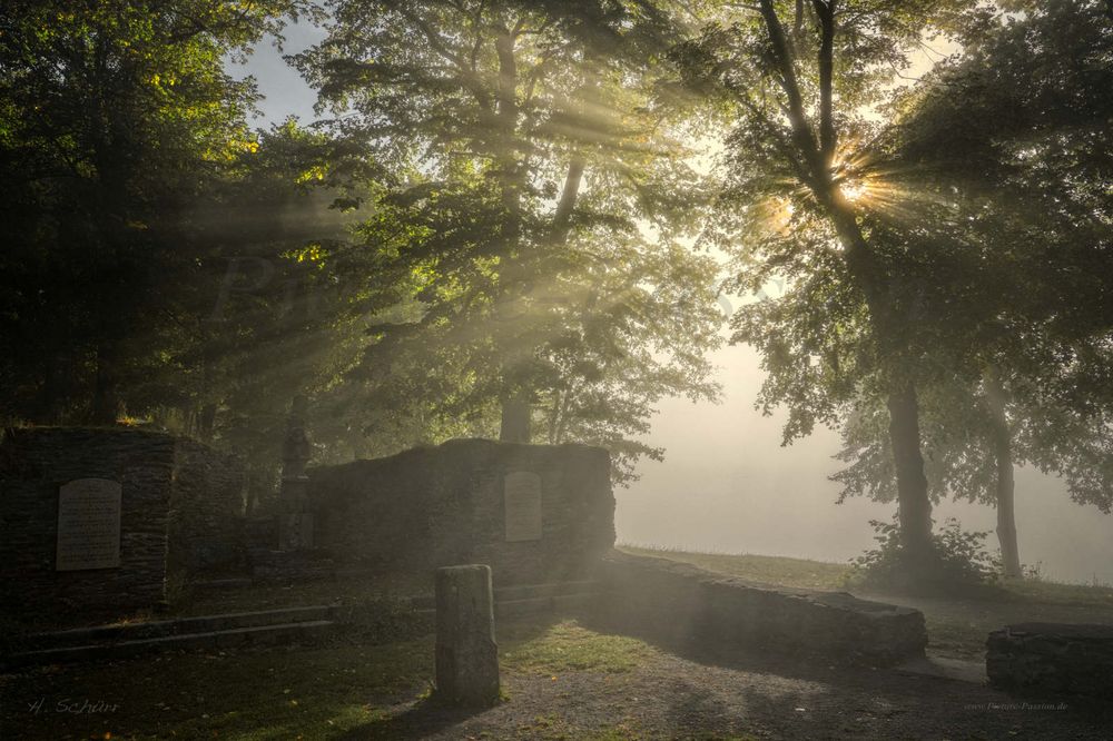 Nebel an der Ruine 