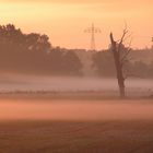 Nebel an der Saale