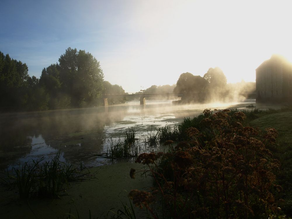 Nebel an der Sarthe