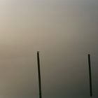 Nebel an der Schlei