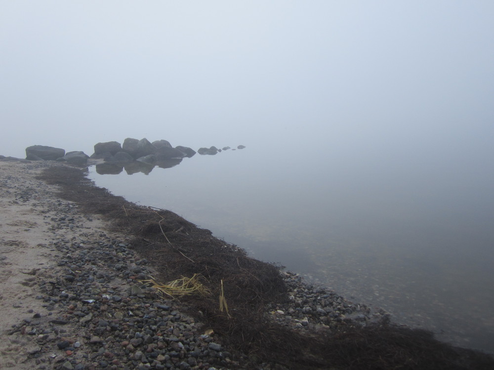 Nebel an der Schlei