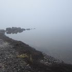 Nebel an der Schlei