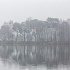 Nebel an der Seenplatte in Duisburg