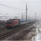 Nebel an der Südbahn