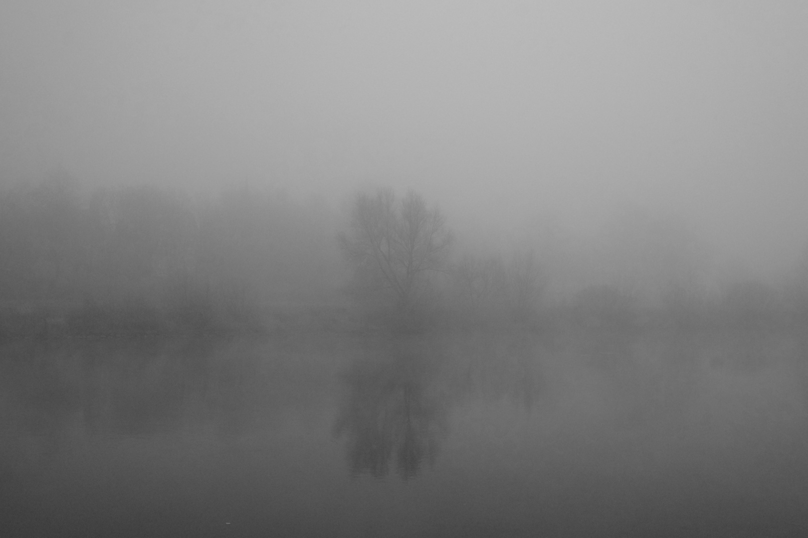 Nebel an der Weser