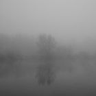 Nebel an der Weser