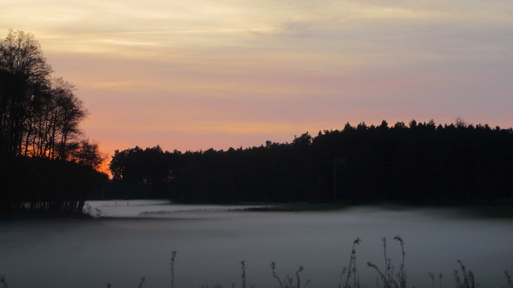 Nebel an einem Herbstabend