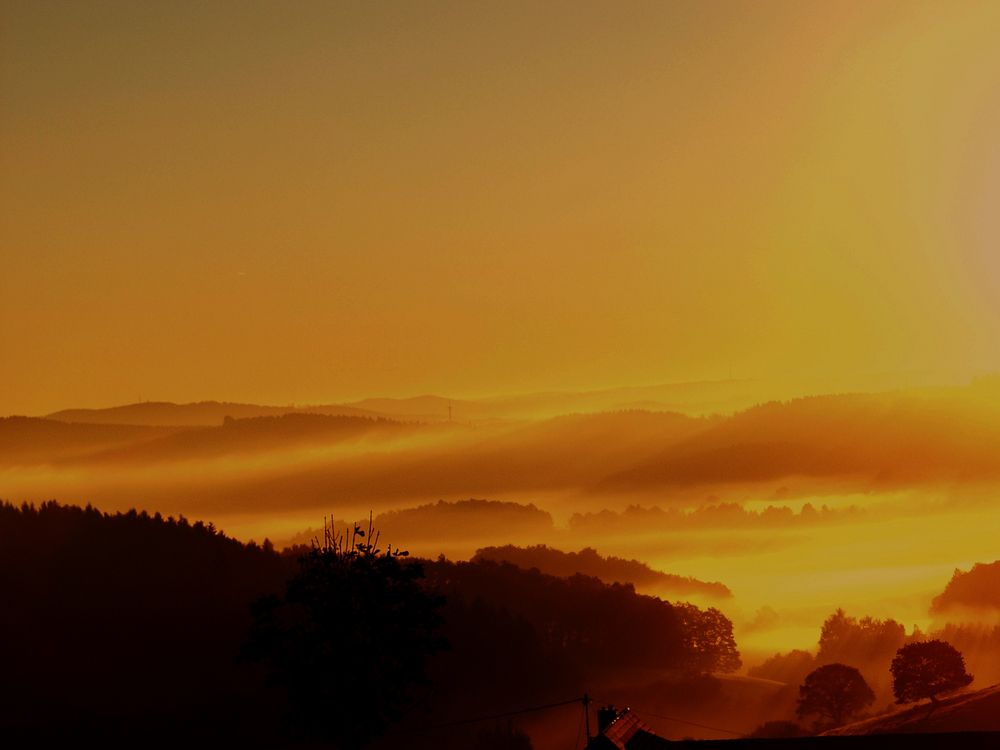 Nebel an einem Sommermorgen! by Nils Klinkau 