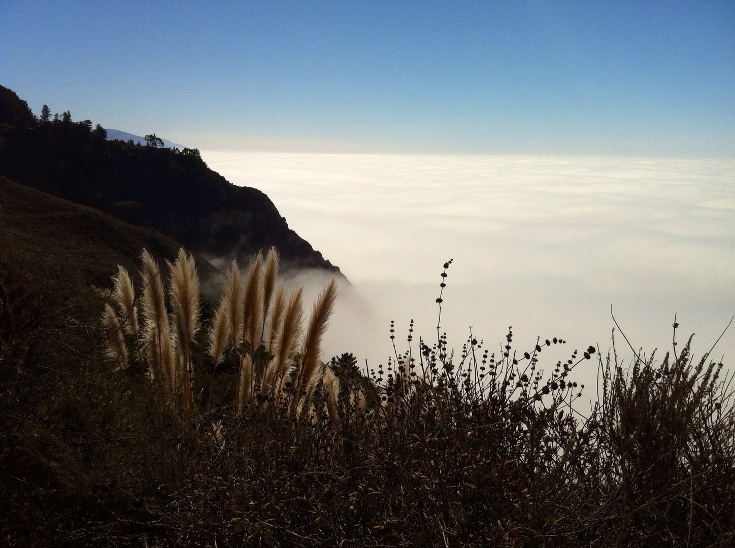 Nebel anstatt Meer