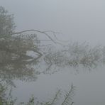 "NEBEL" auch du hast deinen besonderen Reiz - stimmt doch?