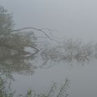 "NEBEL" auch du hast deinen besonderen Reiz - stimmt doch?