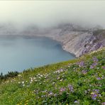 Nebel auch im Sommer