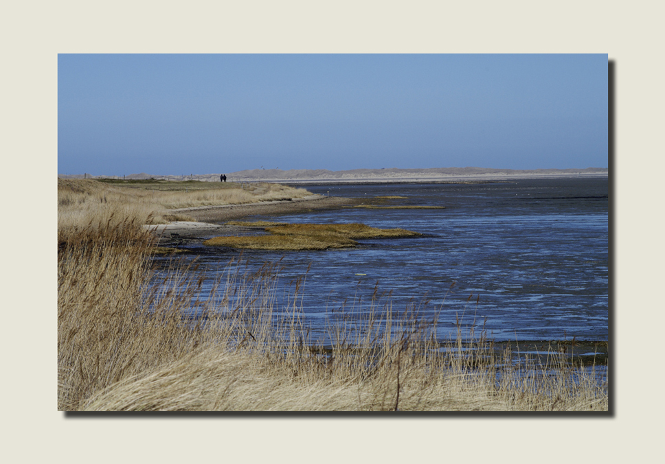 Nebel auf Amrum 9