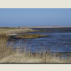 Nebel auf Amrum 9