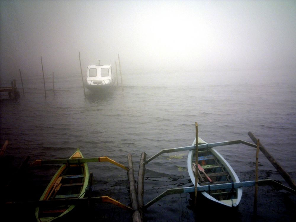 Nebel auf Bali