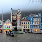 nebel auf bergen