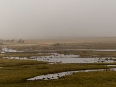 Nebel auf Borkum