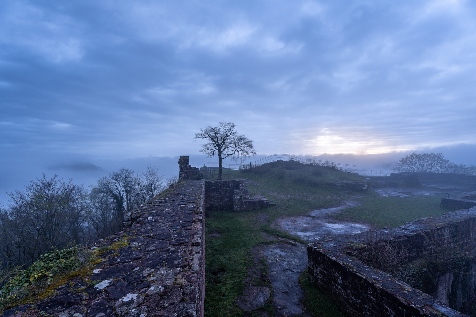 Nebel auf Burg Lindelbrunn