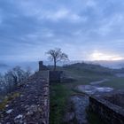 Nebel auf Burg Lindelbrunn