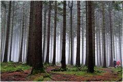 Nebel auf dem Altkönig