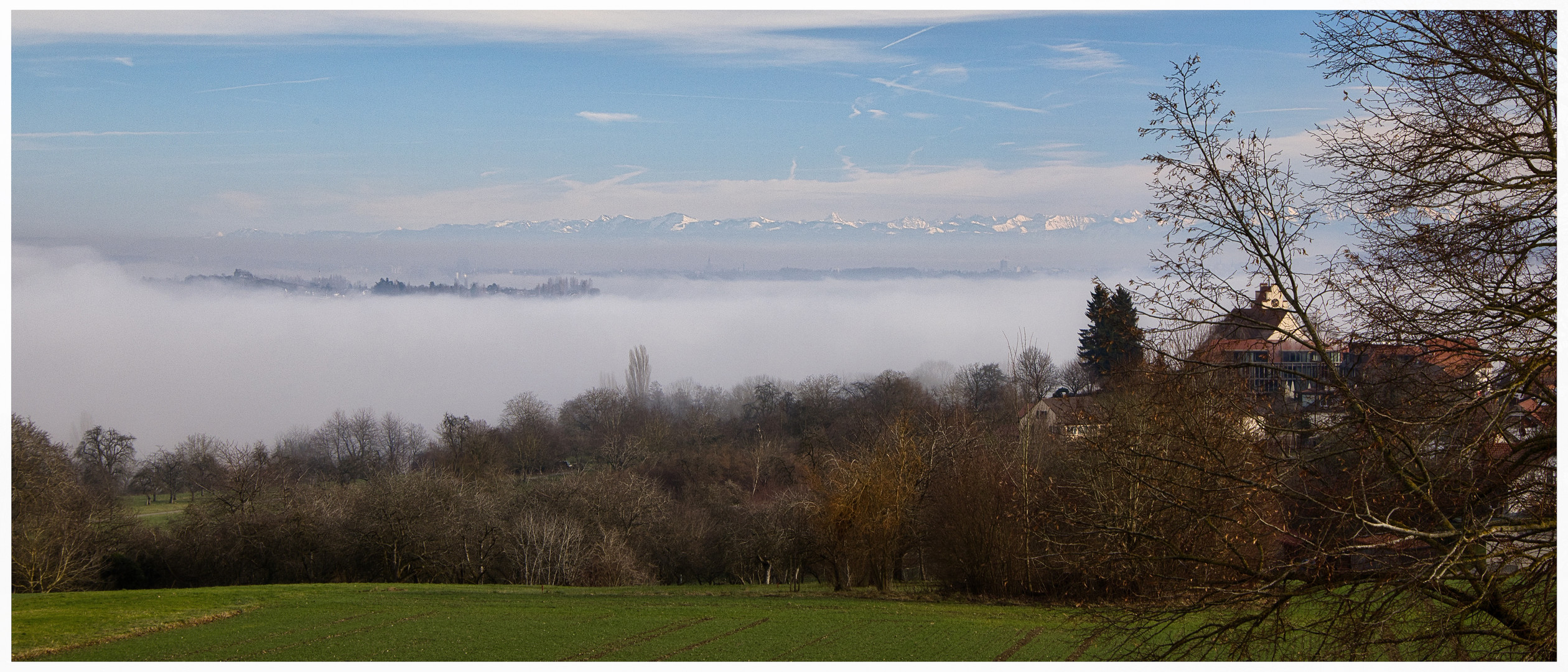 Nebel auf dem Bodensee