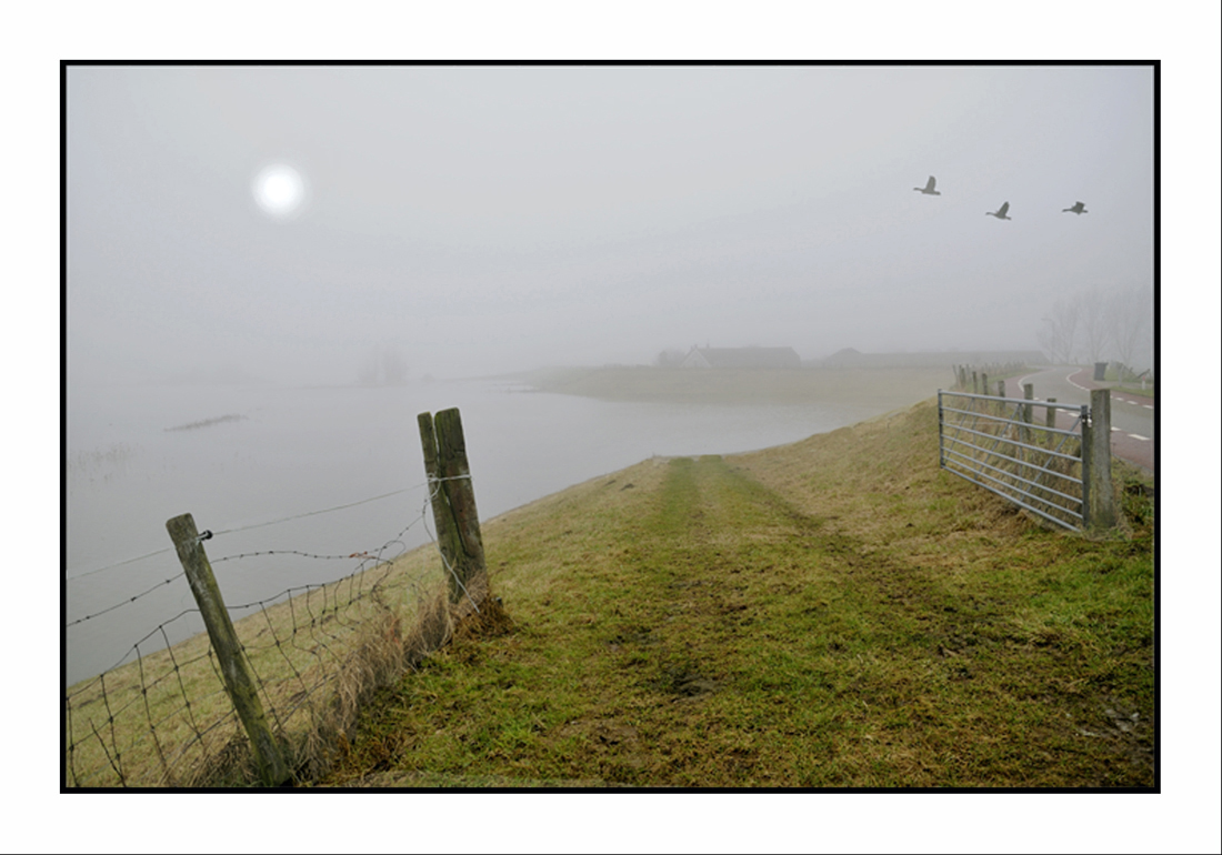 Nebel auf dem Deich