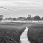 Nebel auf dem Feld