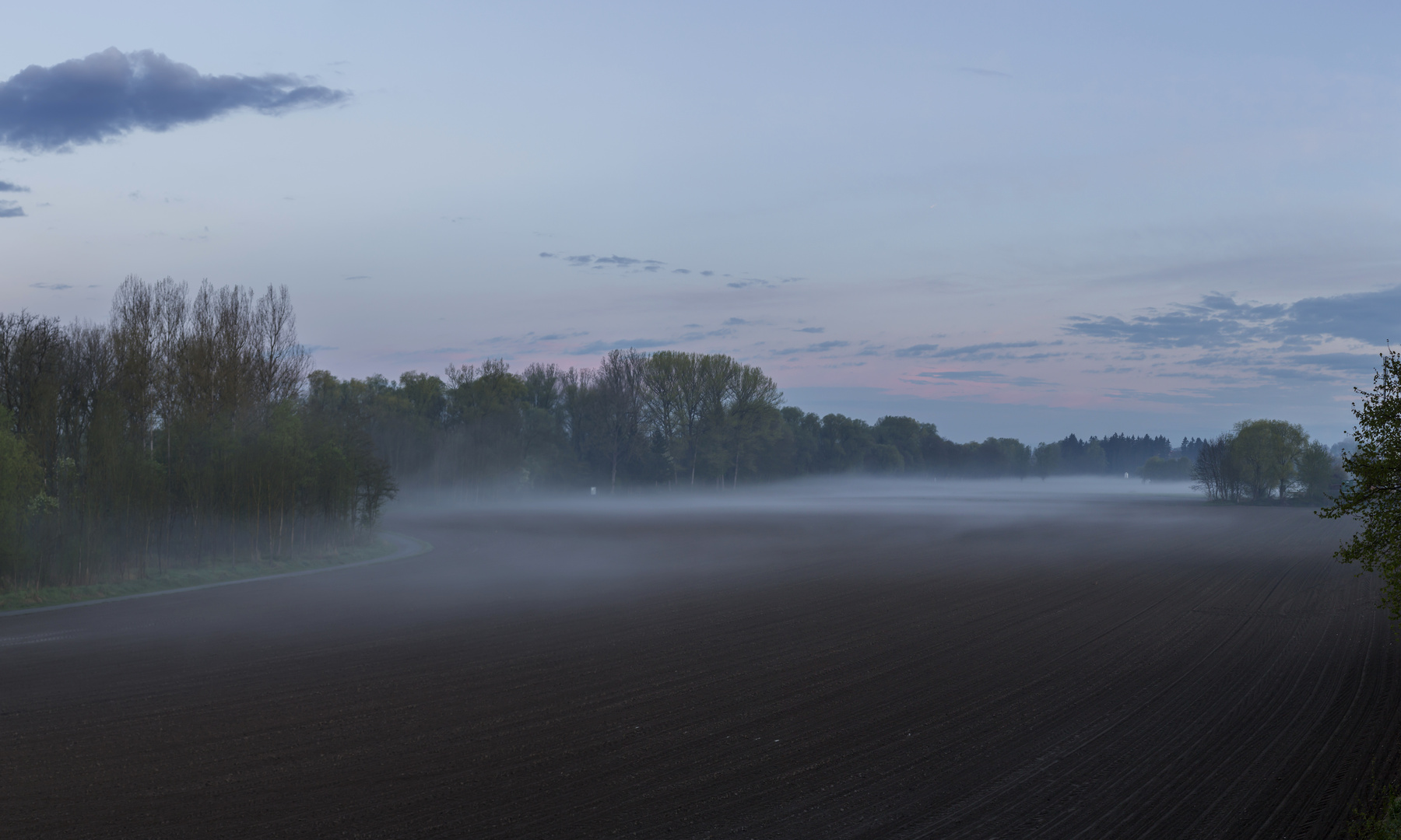 Nebel auf dem Feld