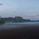 Nebel auf dem Feld