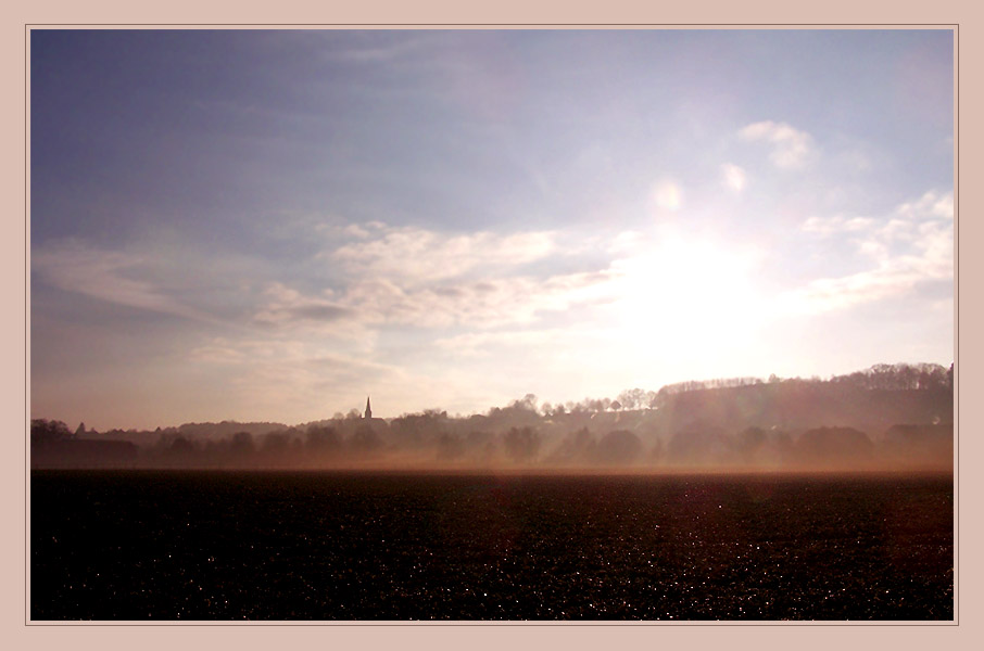 Nebel auf dem Feld