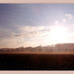 Nebel auf dem Feld