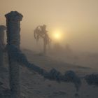 Nebel auf dem Fichtelberg