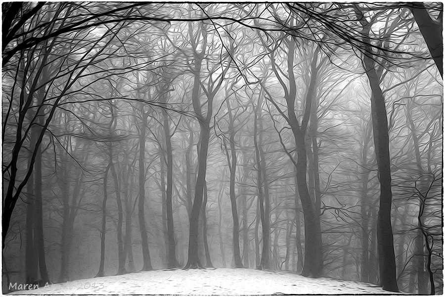 Nebel auf dem Gipfel des Weyerbergs