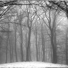 Nebel auf dem Gipfel des Weyerbergs