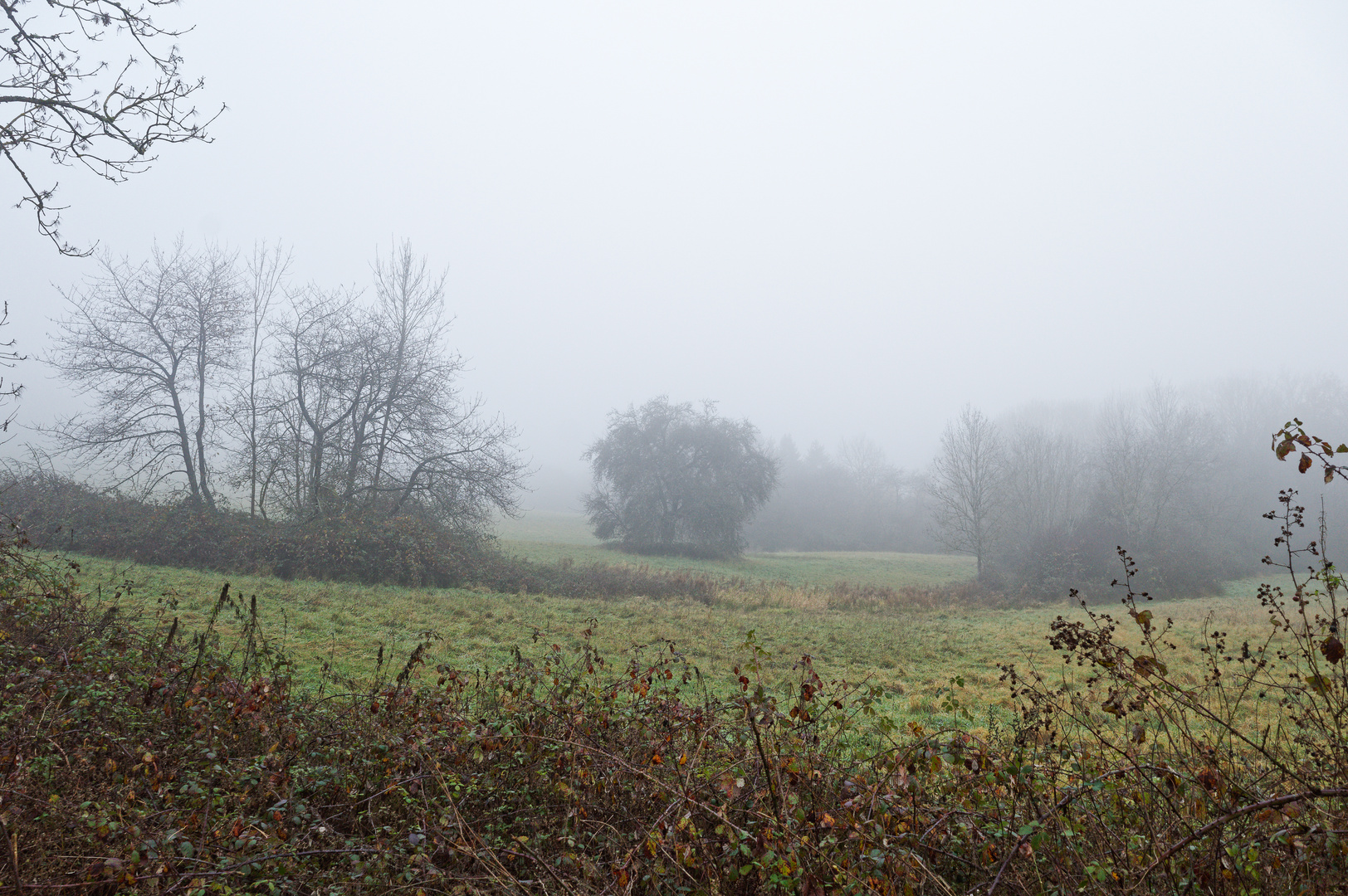 Nebel auf dem Hangarder Flur