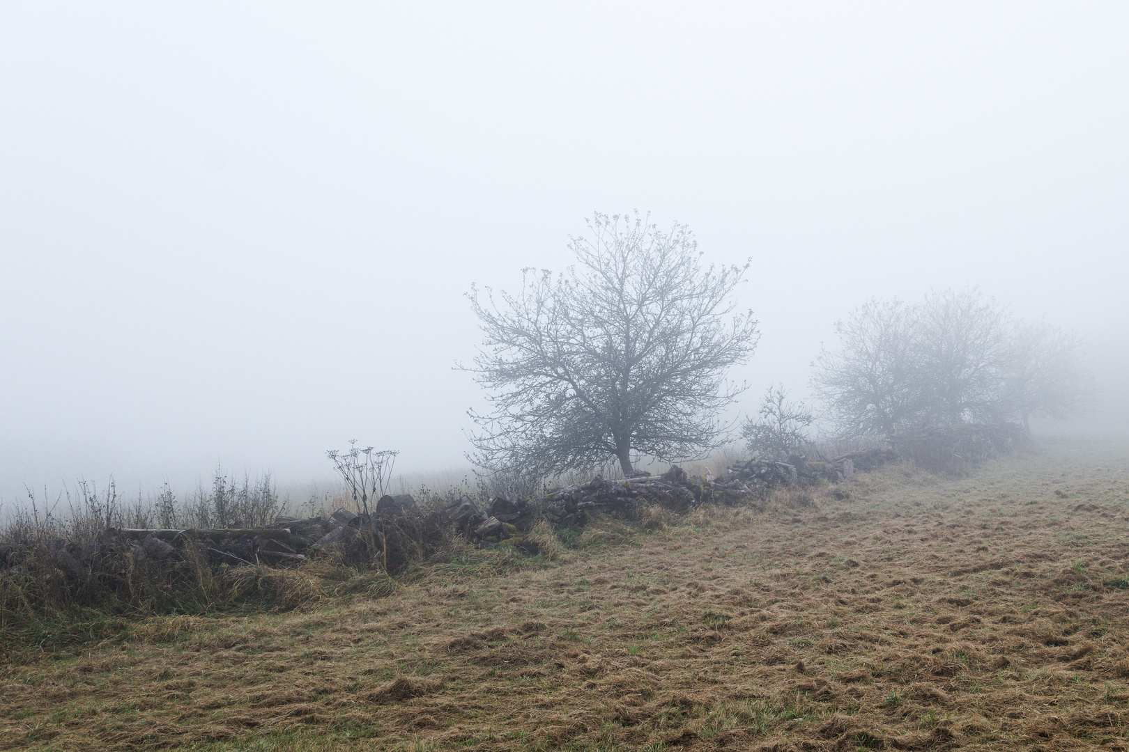 Nebel auf dem Hangarder Flur  (2)