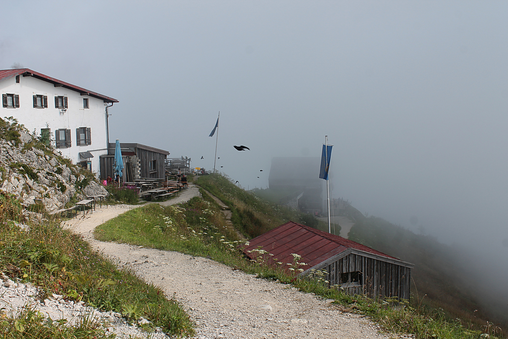 Nebel auf dem Hochfelln - Chiemgauer Alpen