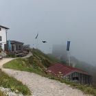 Nebel auf dem Hochfelln - Chiemgauer Alpen
