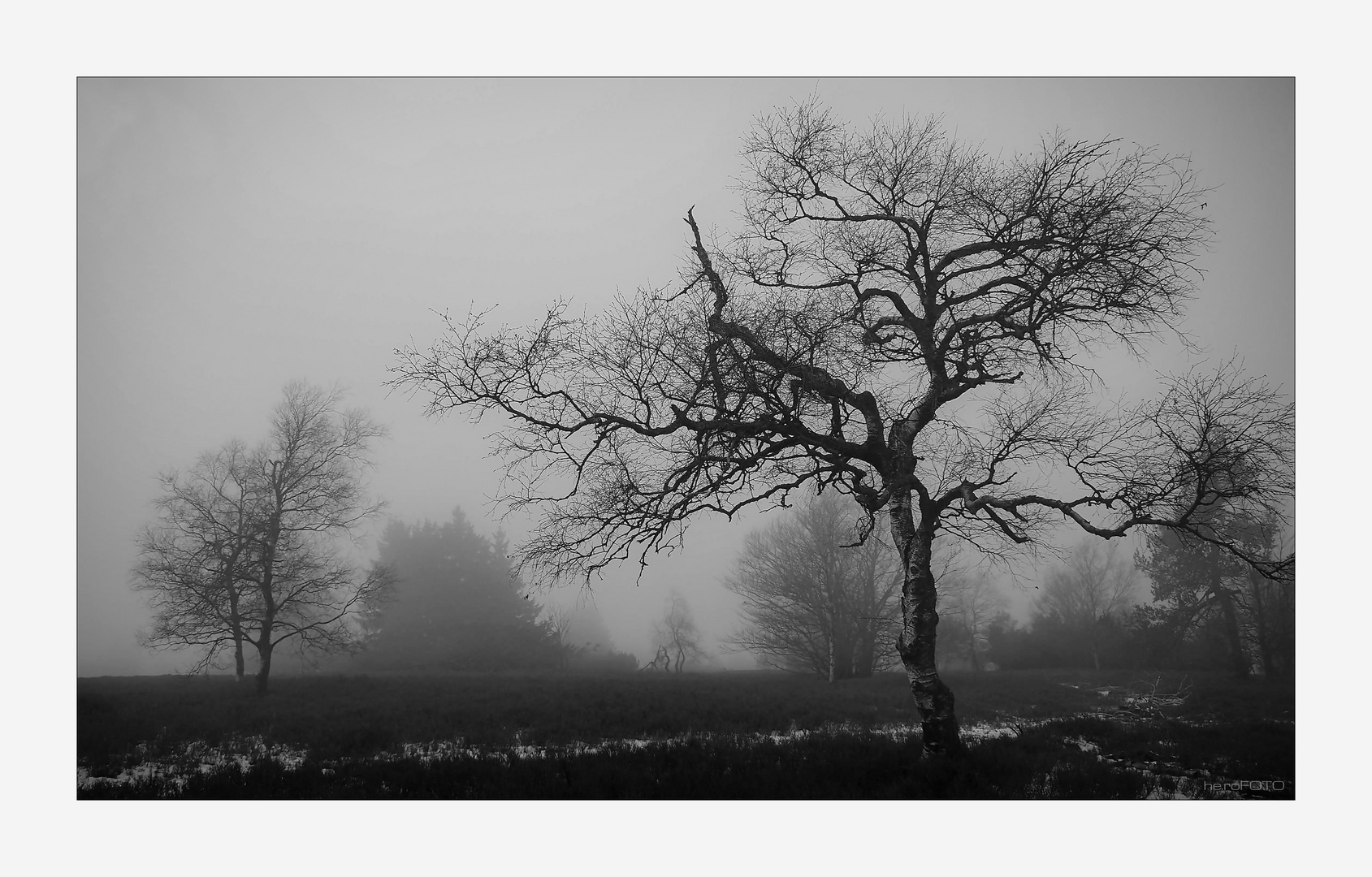 Nebel auf dem Kahlen Asten