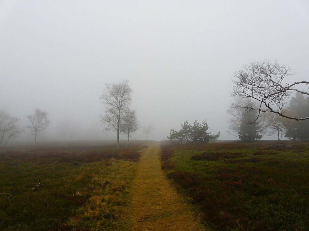 Nebel auf dem kahlen Asten