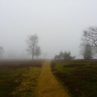 Nebel auf dem kahlen Asten